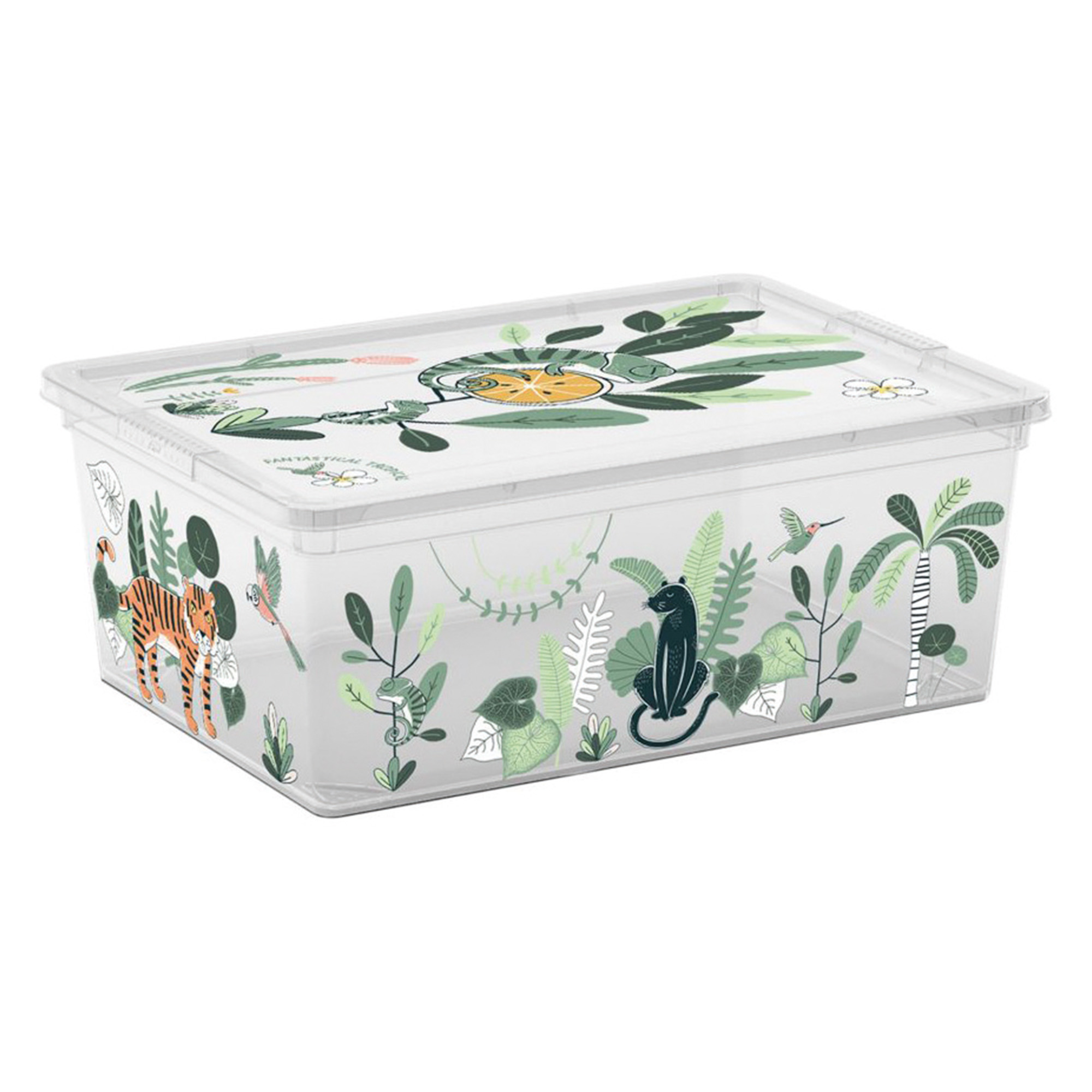 Kinderbox - Fantastical Tropical S